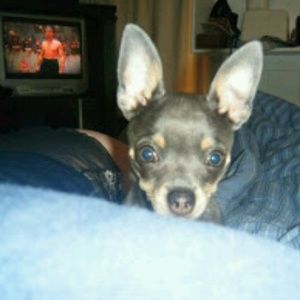 Meet your Posher, Tina